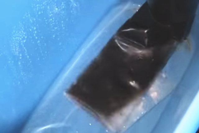 フィルター洗浄